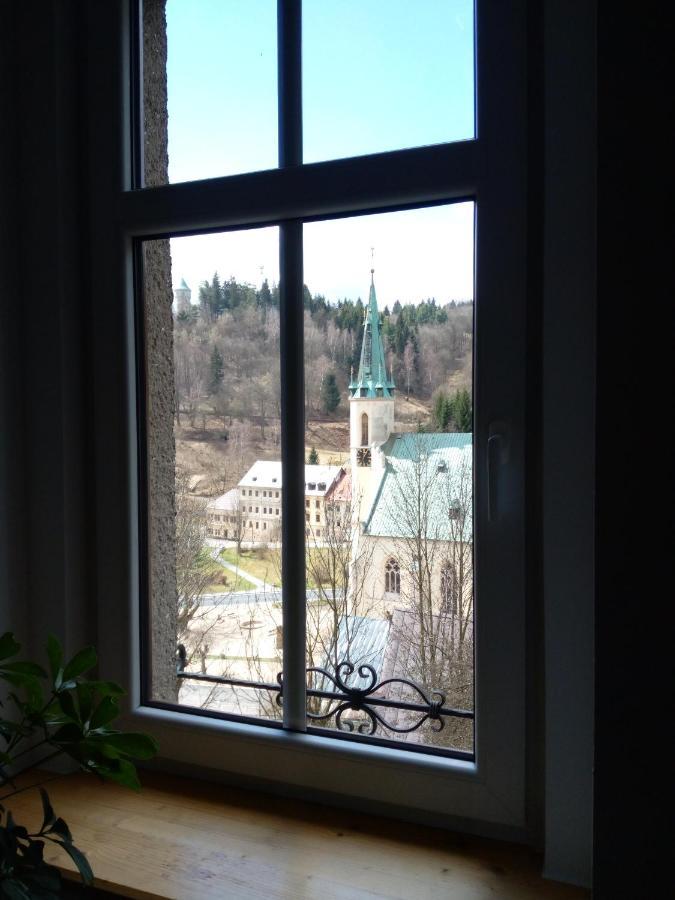 Apartman Albreit 1 Яхимов Экстерьер фото